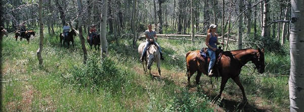 Horse Riding and Pony Trekking in Newton Stewart